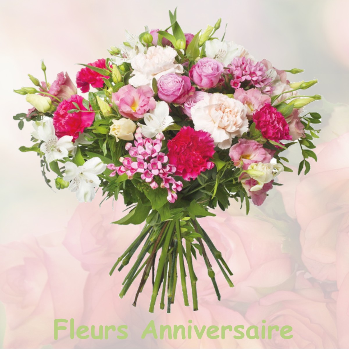 fleurs anniversaire NOIDANS-LES-VESOUL